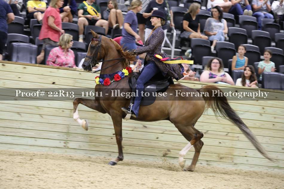 Proof 22R13_11611