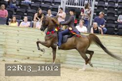 22R13_11612 proof