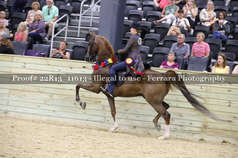 Proof 22R13_11613