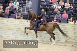 22R13_11613 proof