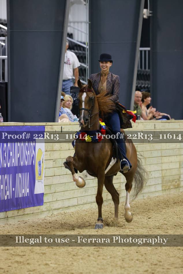 Proof 22R13_11614