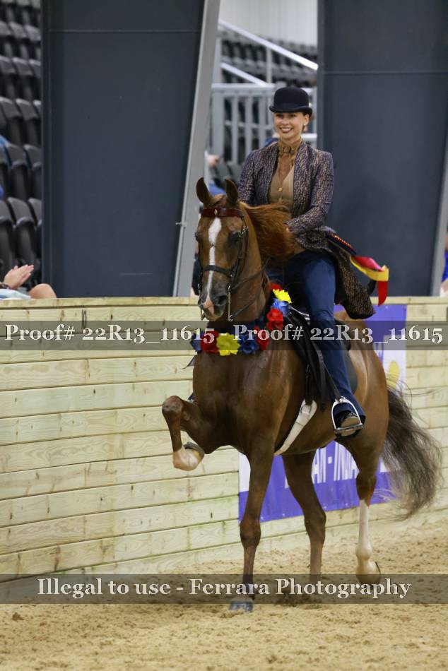 Proof 22R13_11615