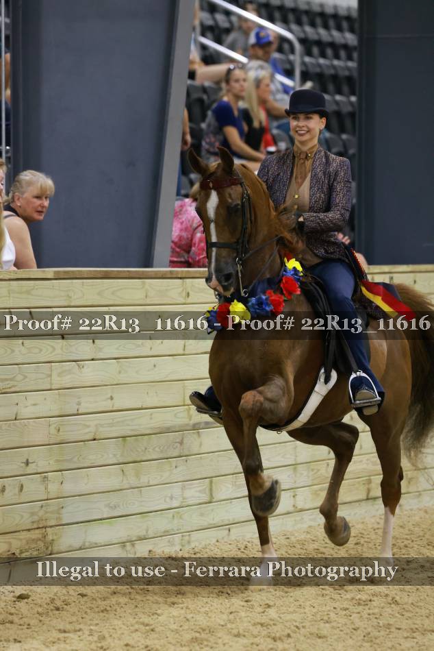 Proof 22R13_11616