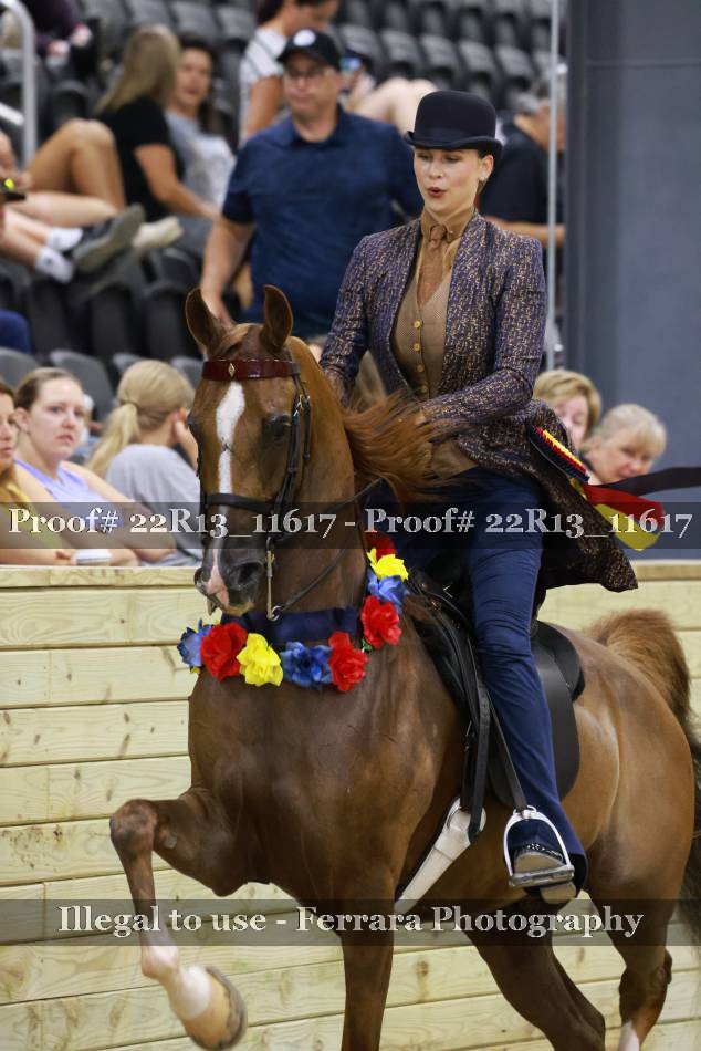 Proof 22R13_11617