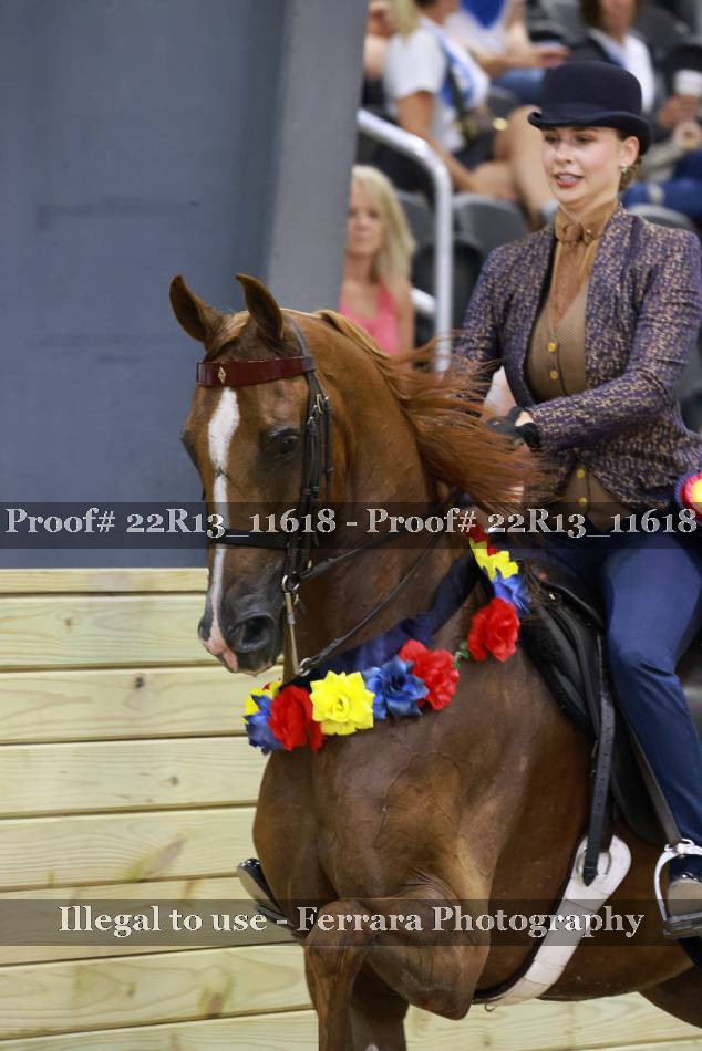 Proof 22R13_11618