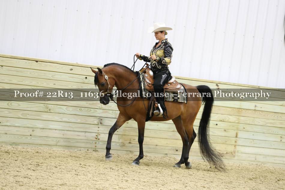 Proof 22R13_11636