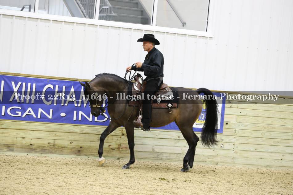 Proof 22R13_11646