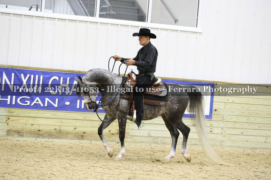 Proof 22R13_11653