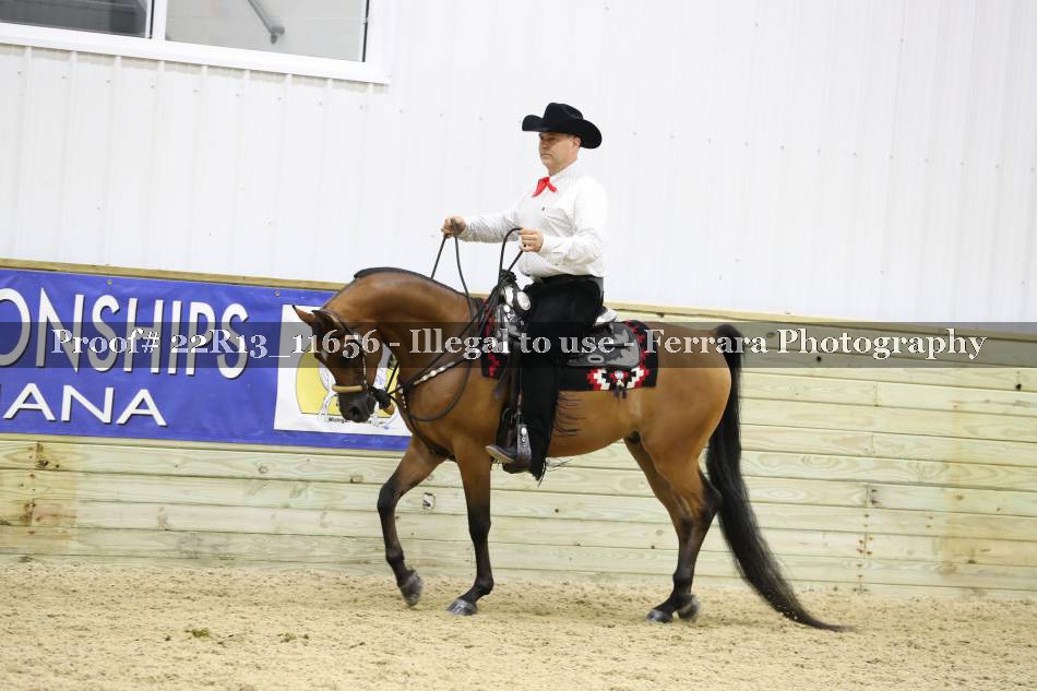 Proof 22R13_11656