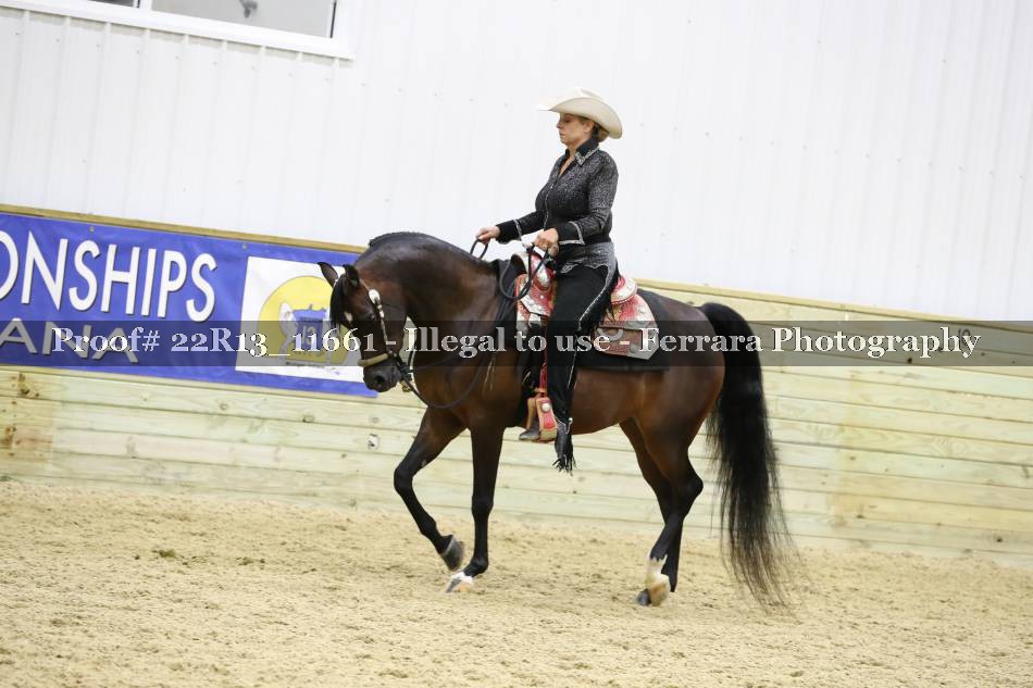 Proof 22R13_11661