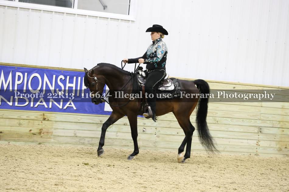 Proof 22R13_11664