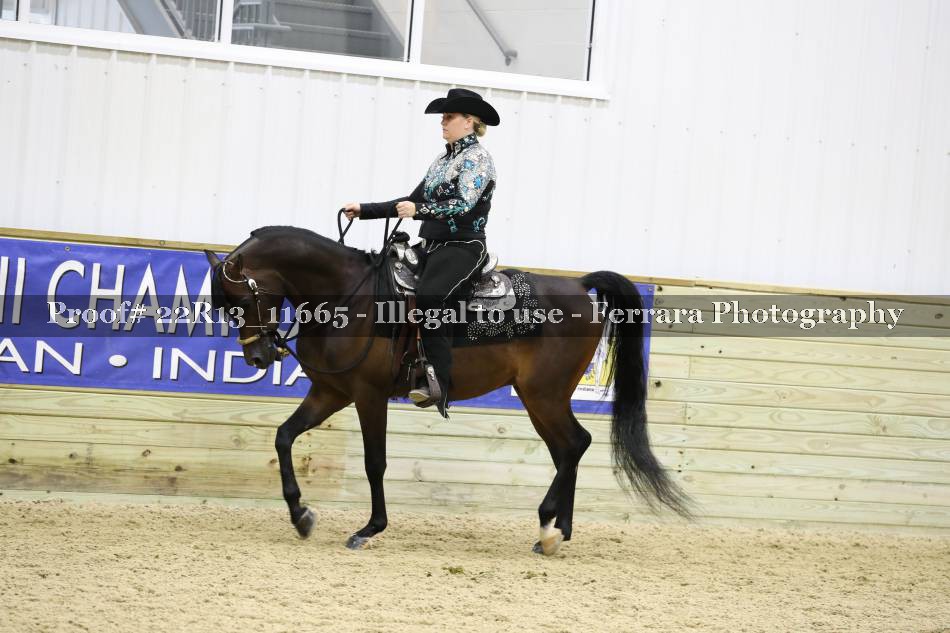 Proof 22R13_11665