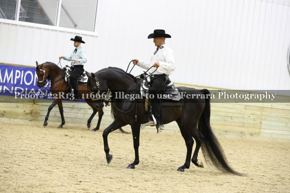 Proof 22R13_11666