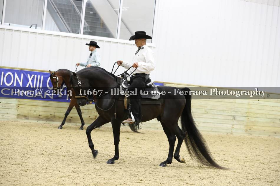 Proof 22R13_11667