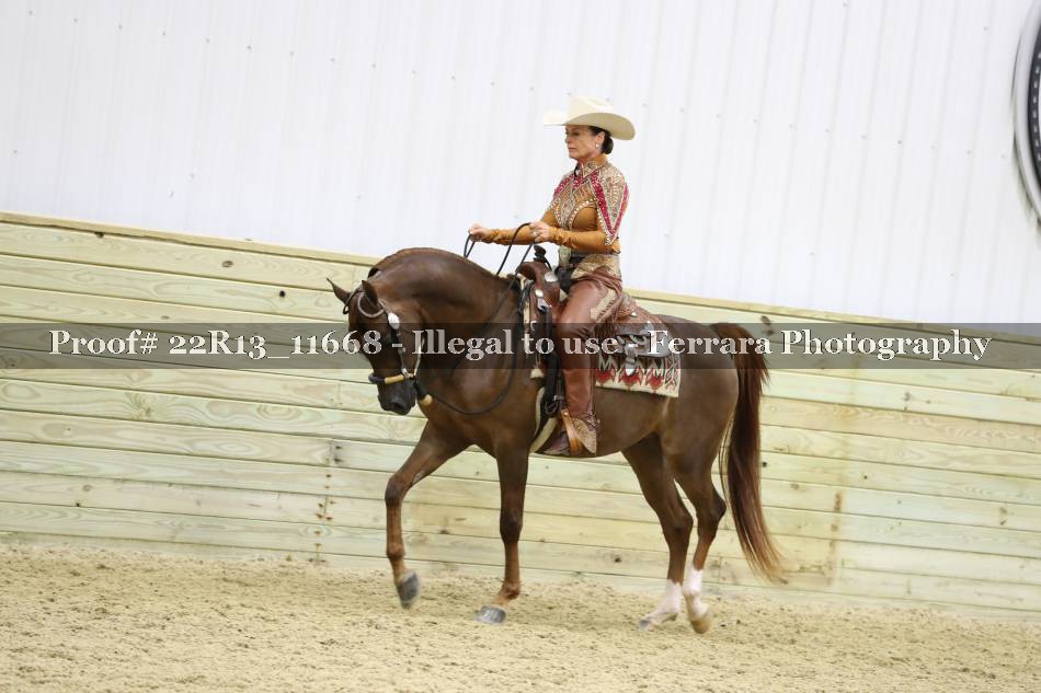 Proof 22R13_11668