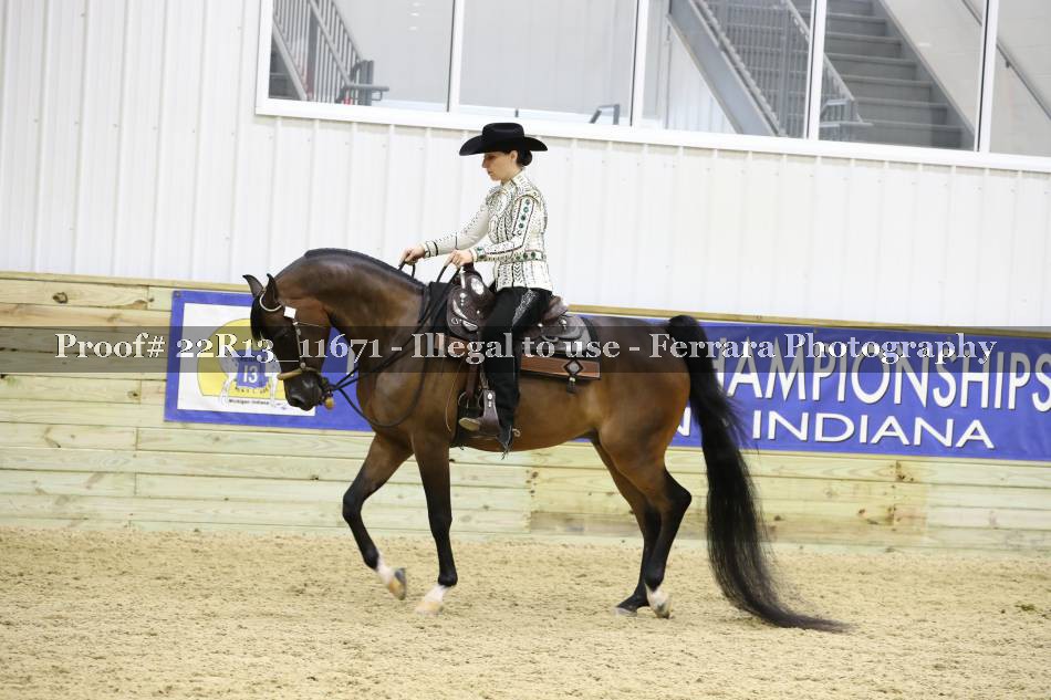 Proof 22R13_11671