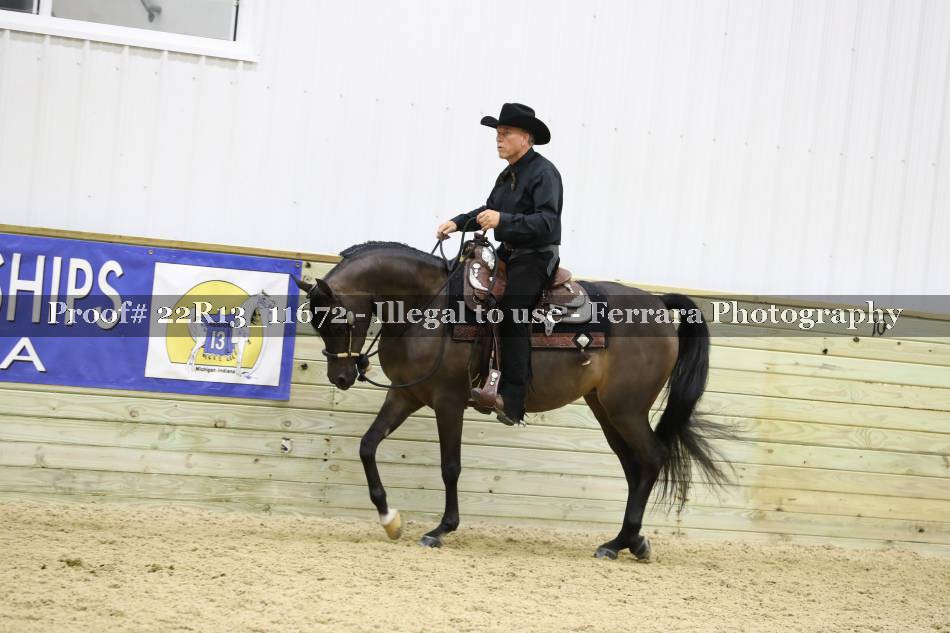 Proof 22R13_11672