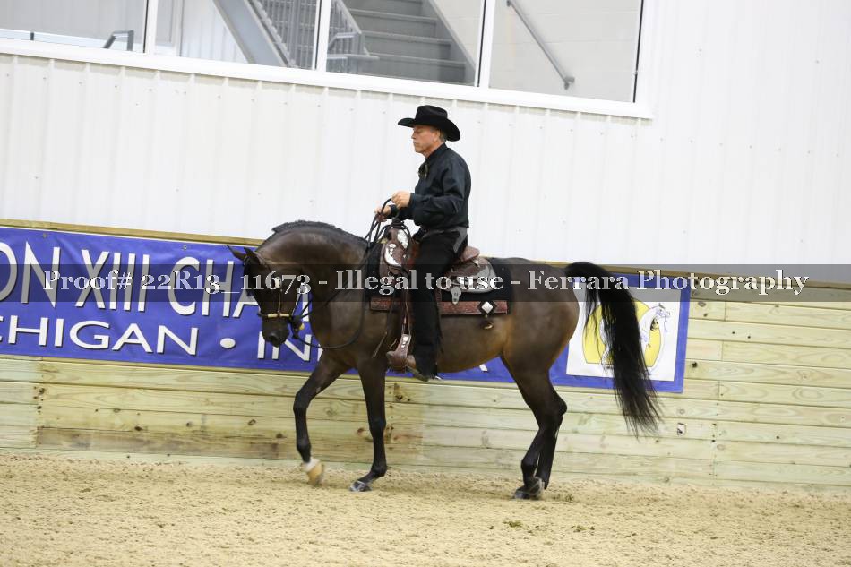 Proof 22R13_11673