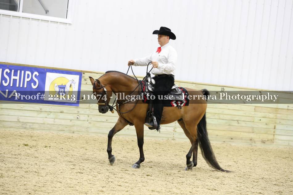 Proof 22R13_11674