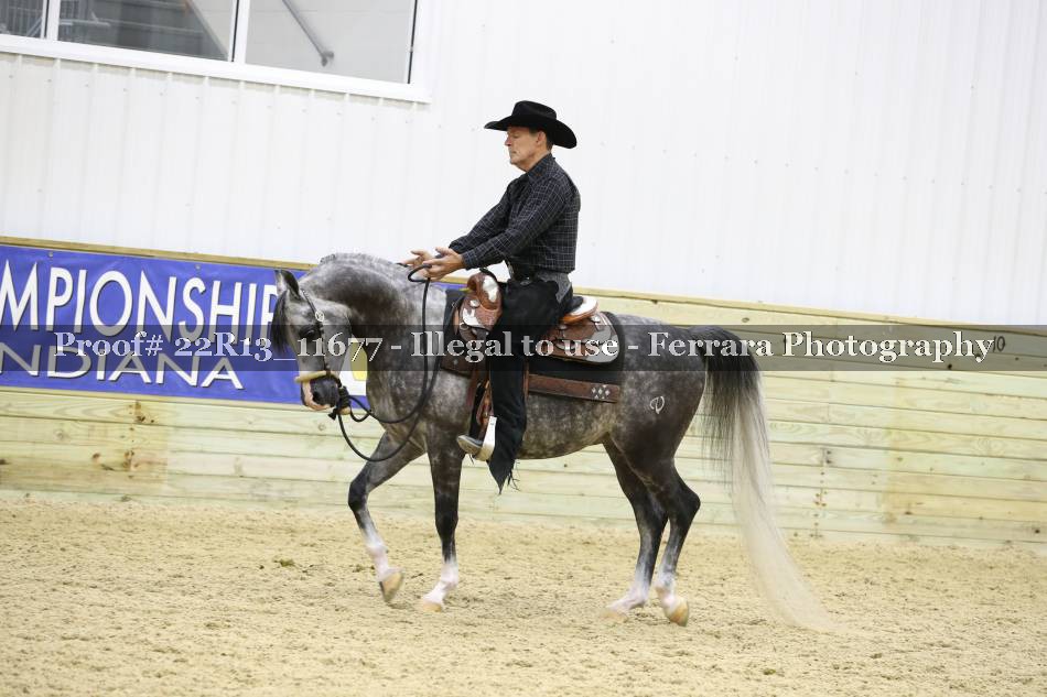 Proof 22R13_11677