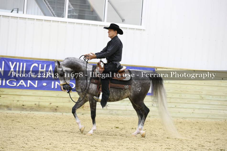 Proof 22R13_11678