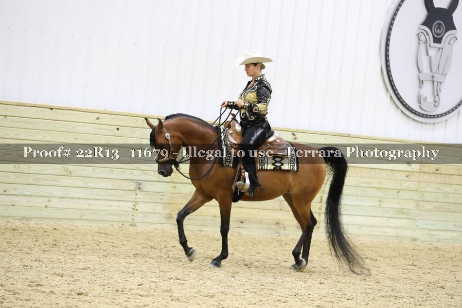 Proof 22R13_11679