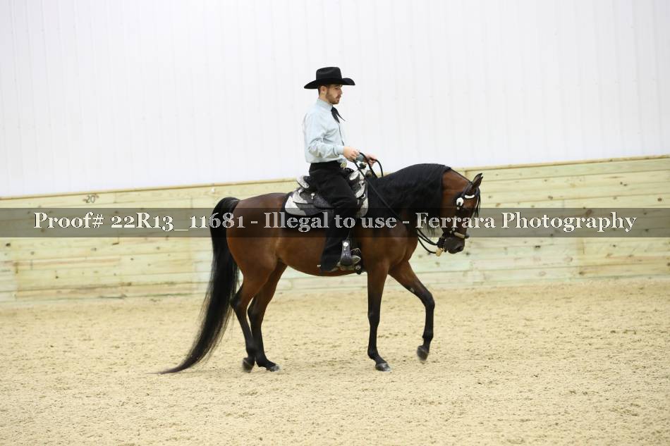 Proof 22R13_11681