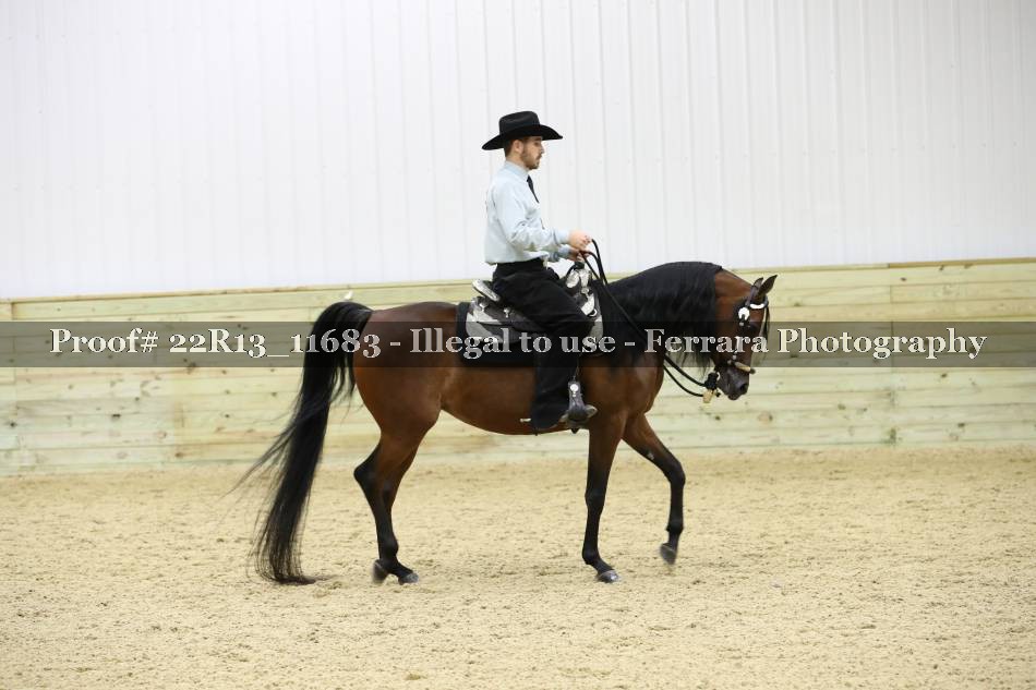 Proof 22R13_11683