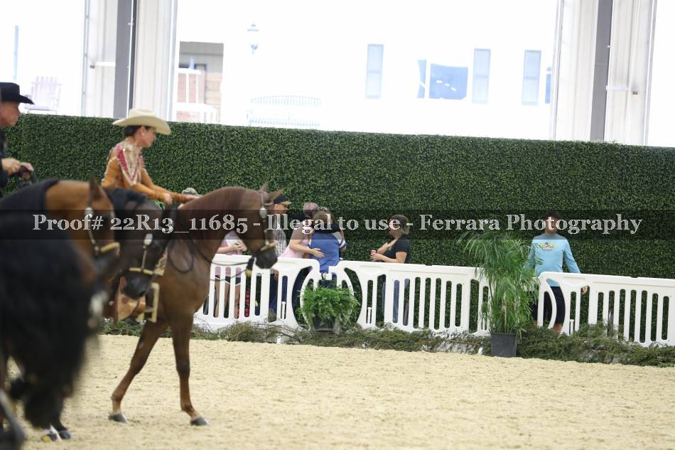 Proof 22R13_11685