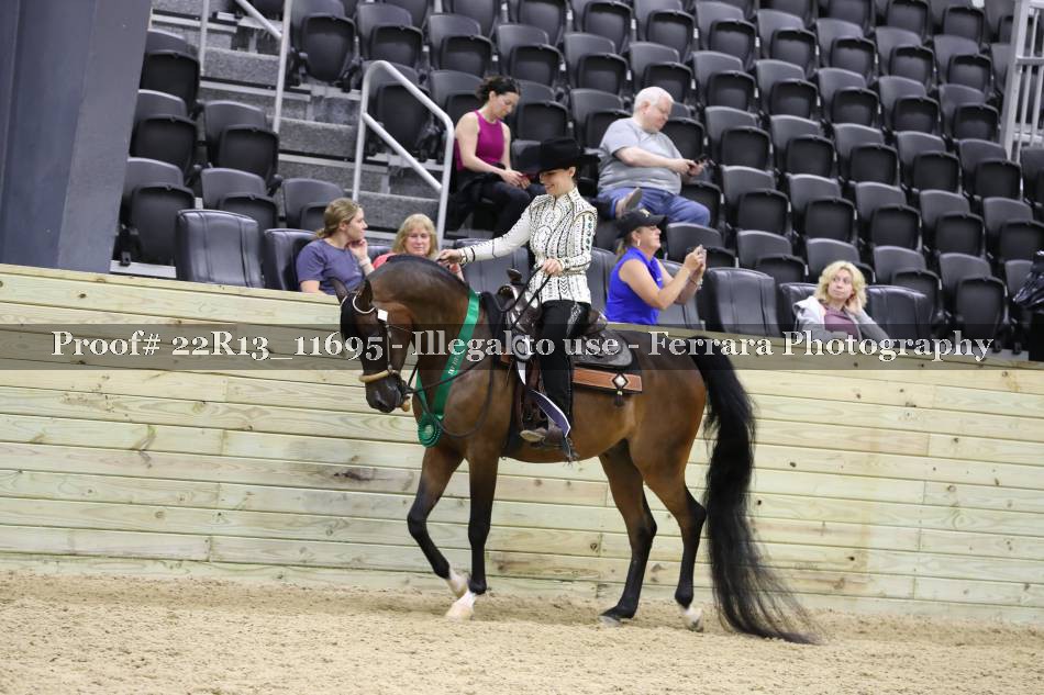 Proof 22R13_11695