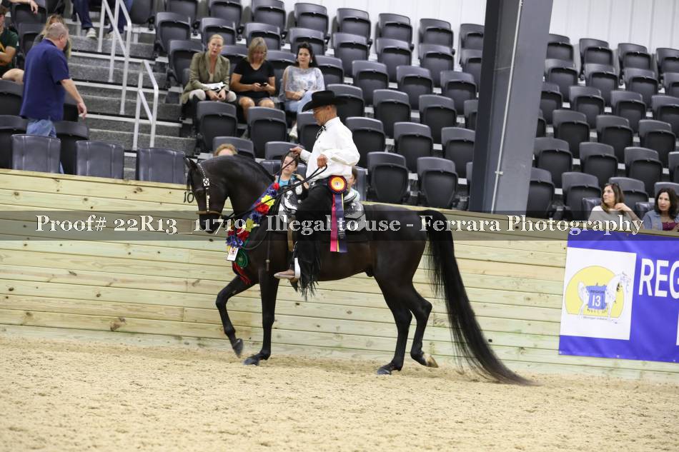 Proof 22R13_11719