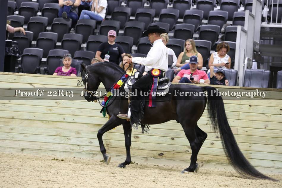 Proof 22R13_11721