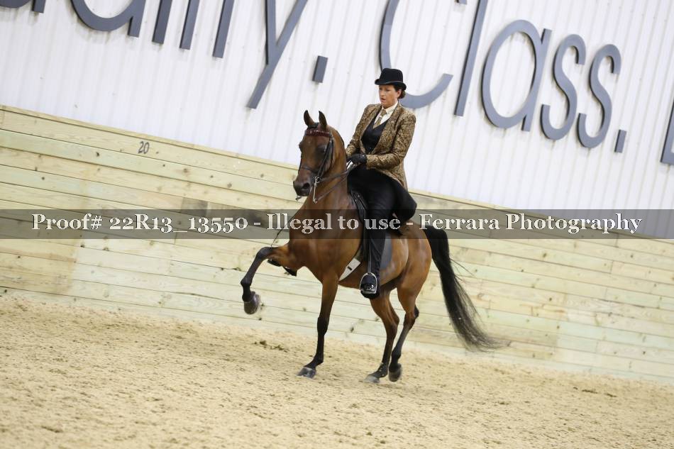 Proof 22R13_13550