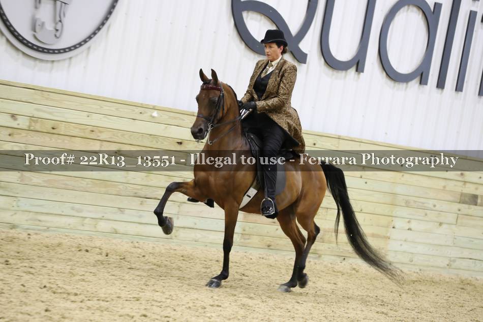 Proof 22R13_13551