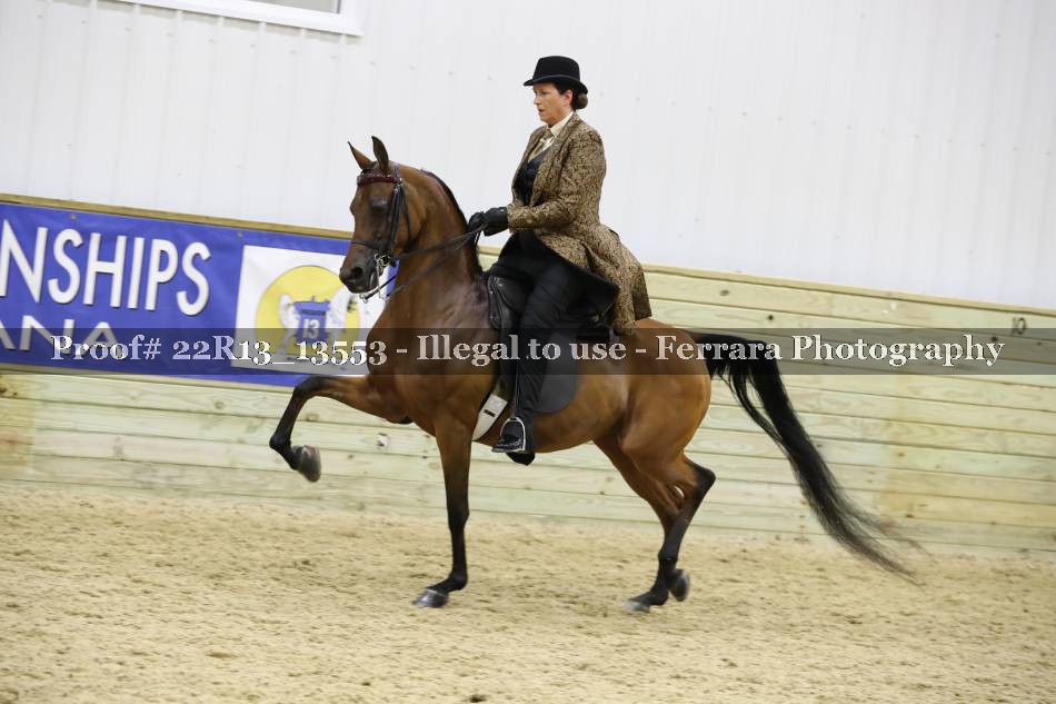 Proof 22R13_13553
