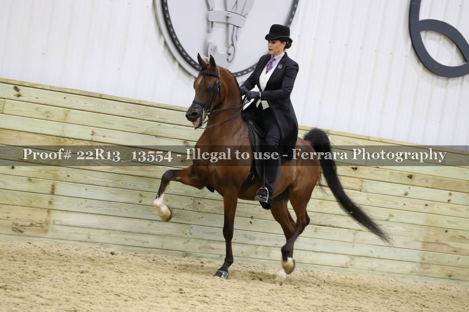 Proof 22R13_13554