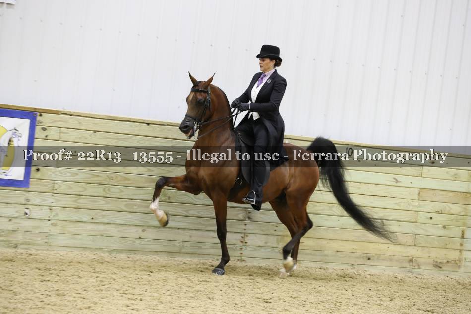 Proof 22R13_13555