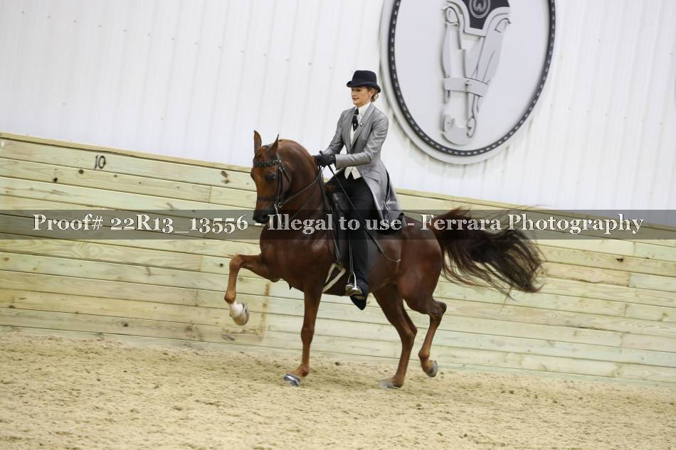 Proof 22R13_13556