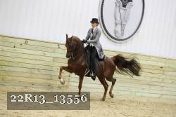 22R13_13556 proof