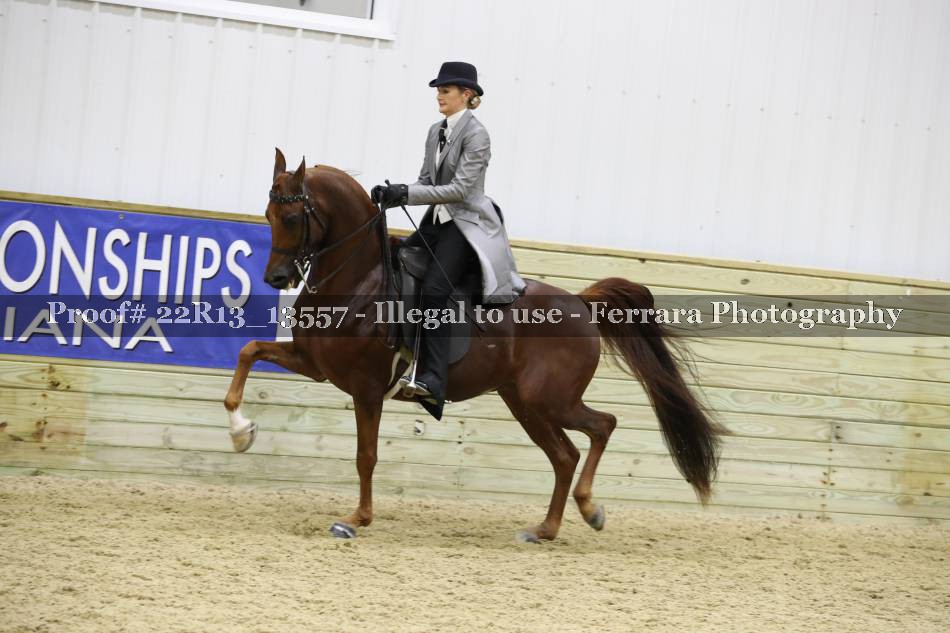 Proof 22R13_13557