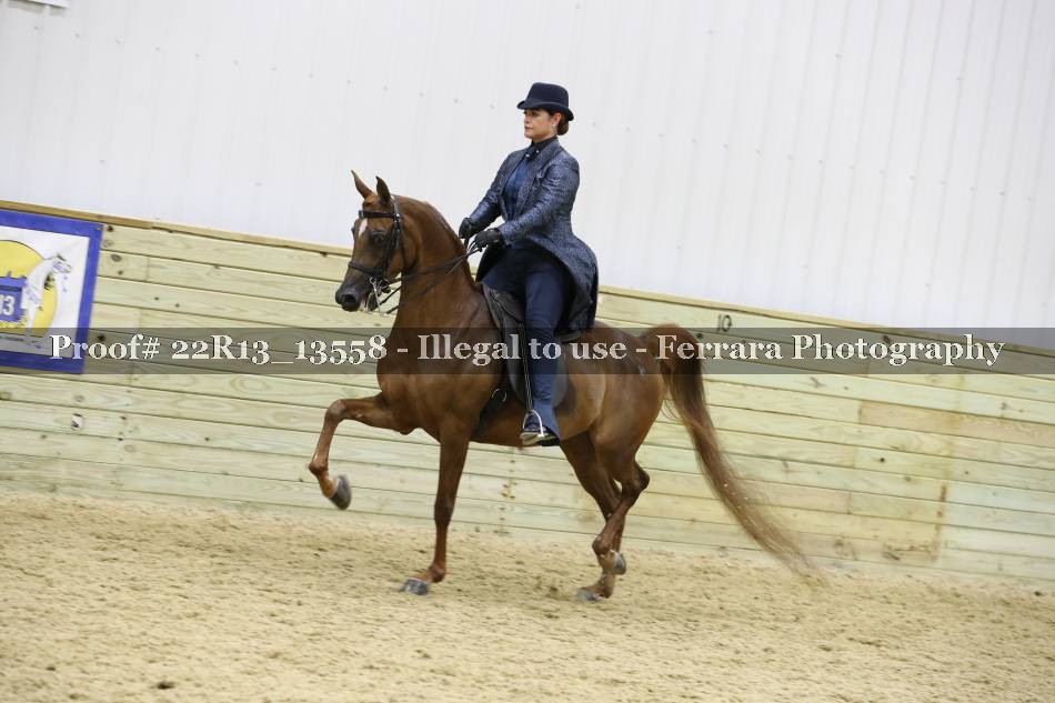 Proof 22R13_13558