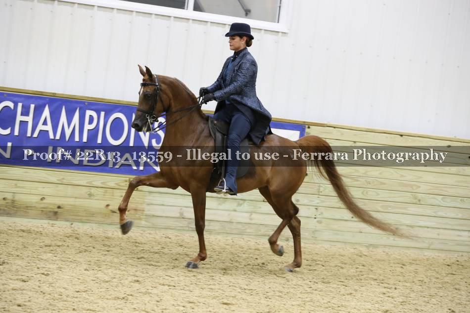 Proof 22R13_13559