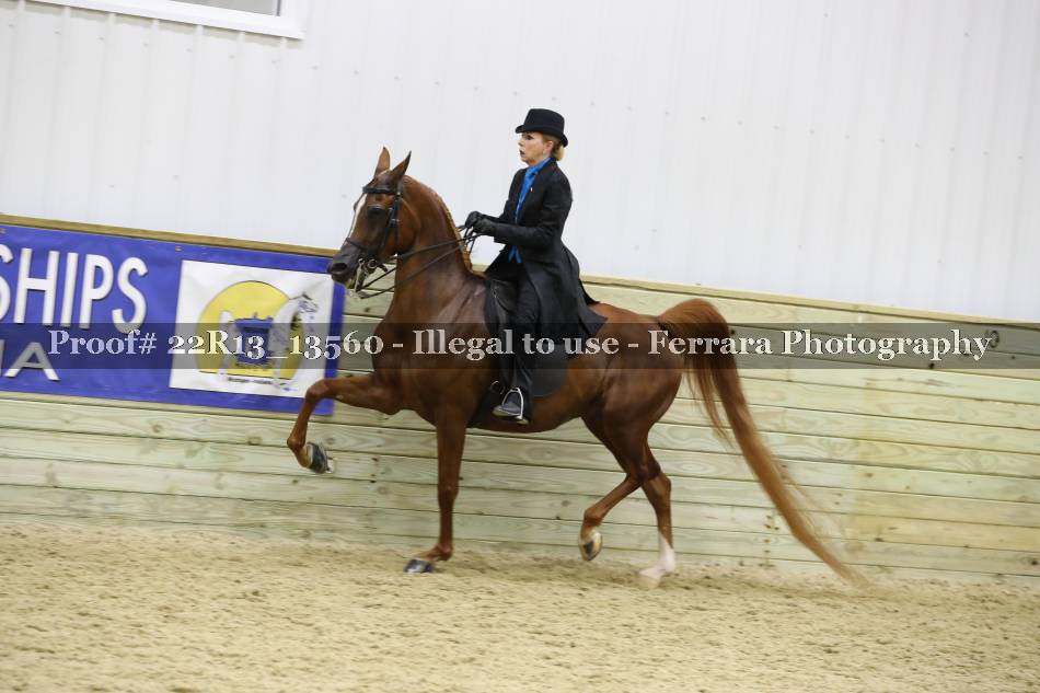 Proof 22R13_13560