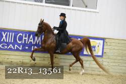 22R13_13561 proof