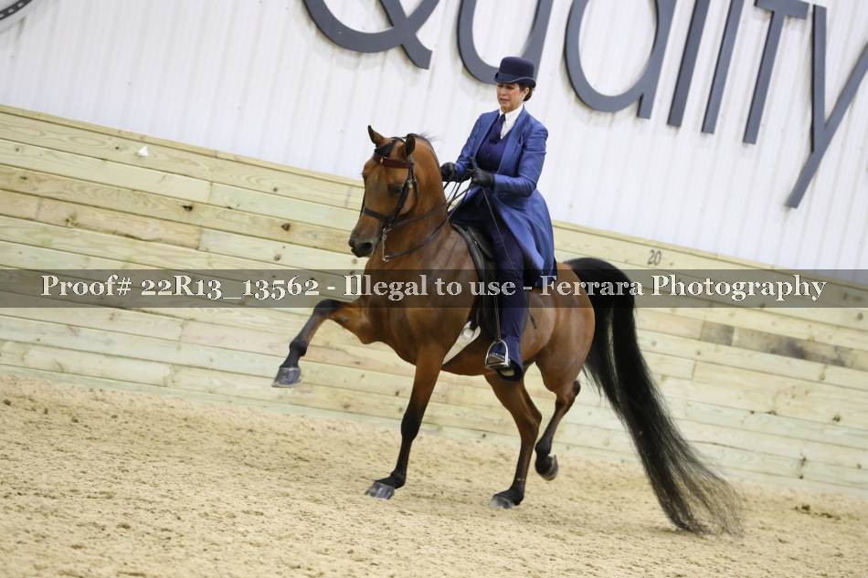 Proof 22R13_13562