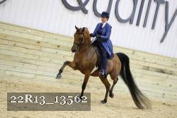 22R13_13562 proof