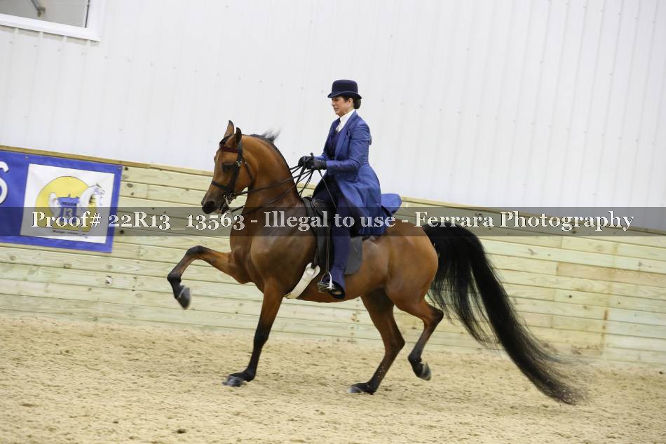 Proof 22R13_13563