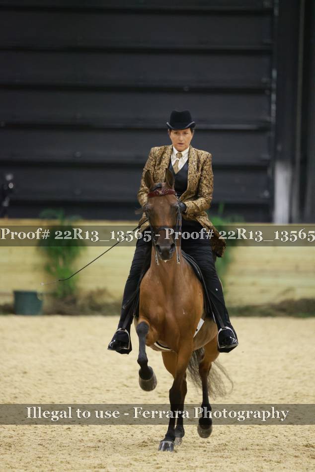 Proof 22R13_13565