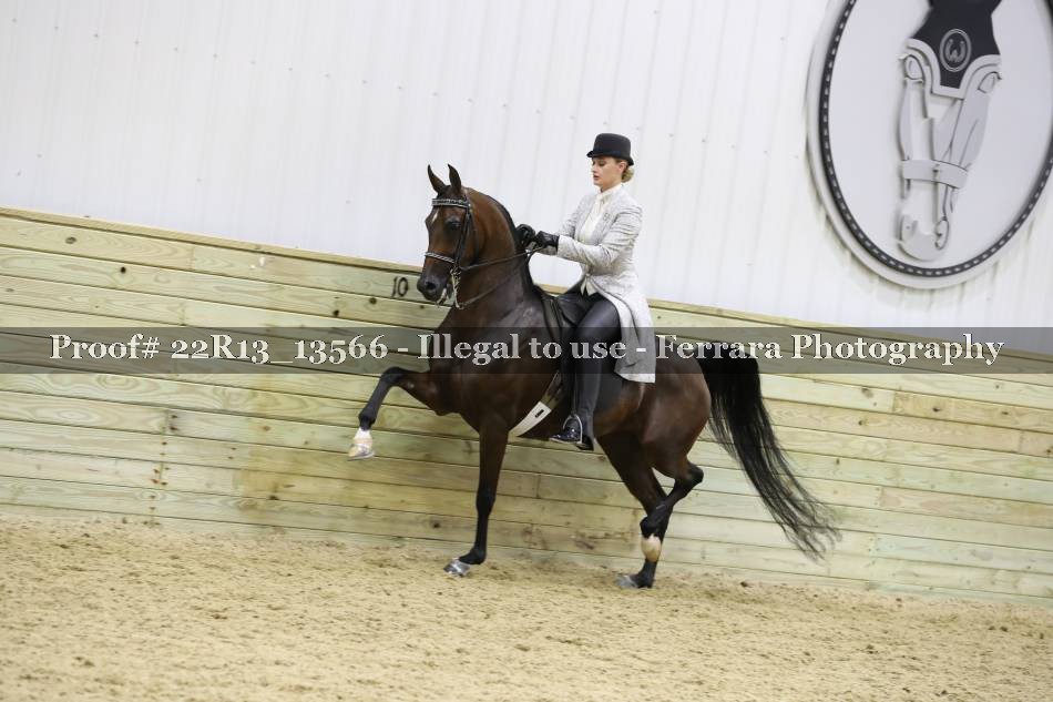 Proof 22R13_13566