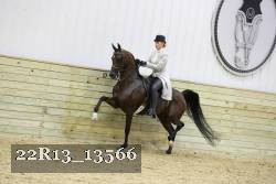 22R13_13566 proof